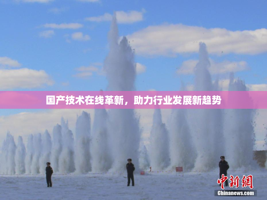 国产技术在线革新，助力行业发展新趋势
