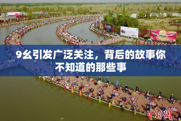 9幺引发广泛关注，背后的故事你不知道的那些事