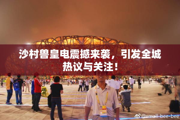 沙村兽皇电震撼来袭，引发全城热议与关注！