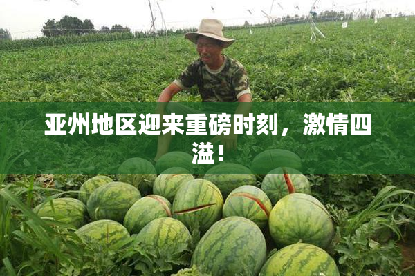 亚州地区迎来重磅时刻，激情四溢！