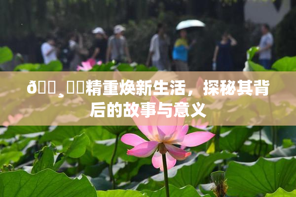 🌸‌✿精重焕新生活，探秘其背后的故事与意义