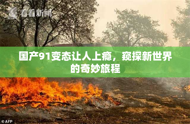 国产91变态让人上瘾，窥探新世界的奇妙旅程