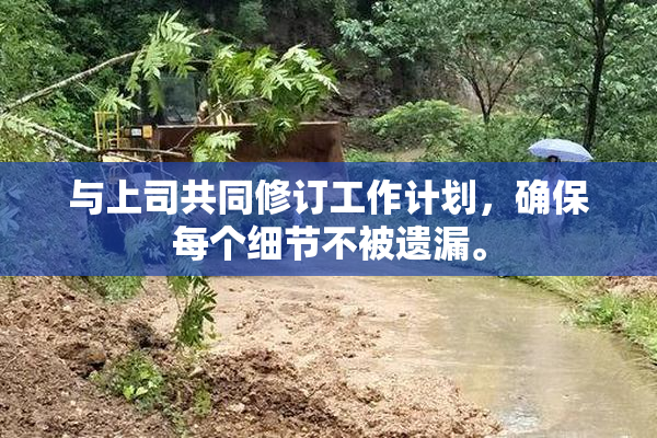 与上司共同修订工作计划，确保每个细节不被遗漏。