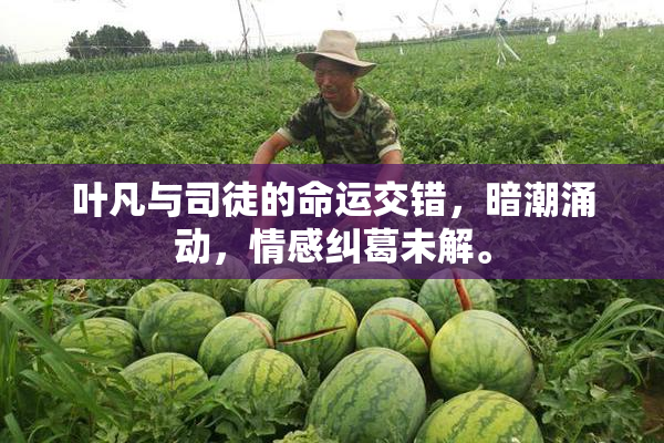 叶凡与司徒的命运交错，暗潮涌动，情感纠葛未解。