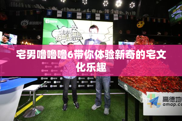 宅男噜噜噜6带你体验新奇的宅文化乐趣