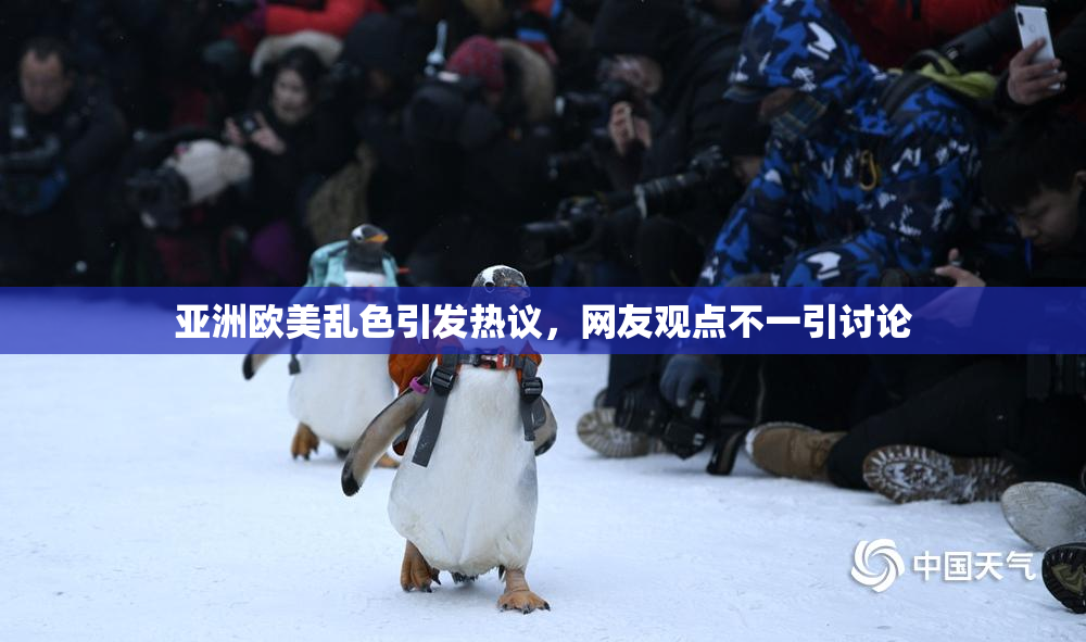 亚洲欧美乱色引发热议，网友观点不一引讨论