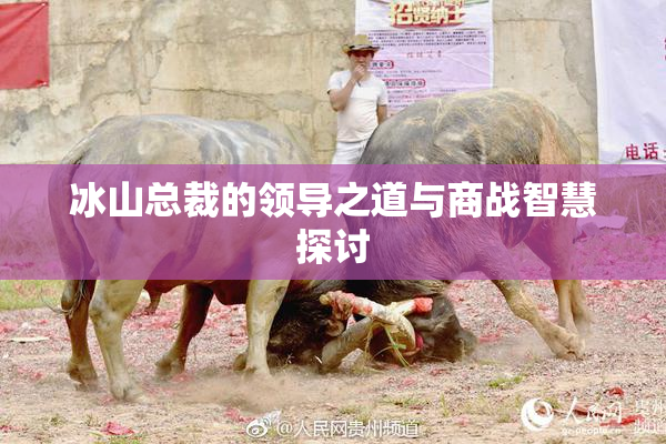 冰山总裁的领导之道与商战智慧探讨