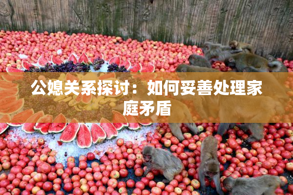 公媳关系探讨：如何妥善处理家庭矛盾