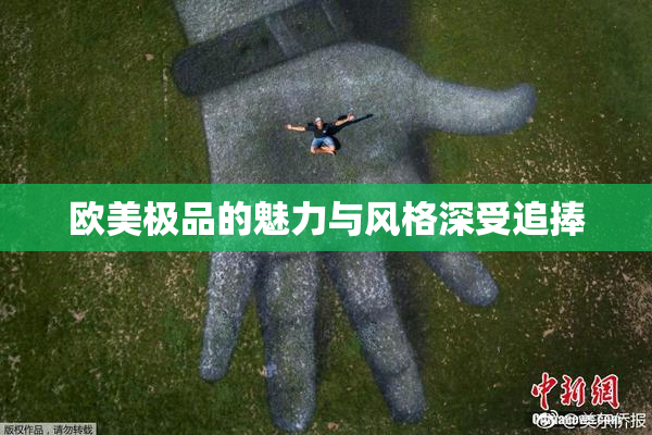 欧美极品的魅力与风格深受追捧