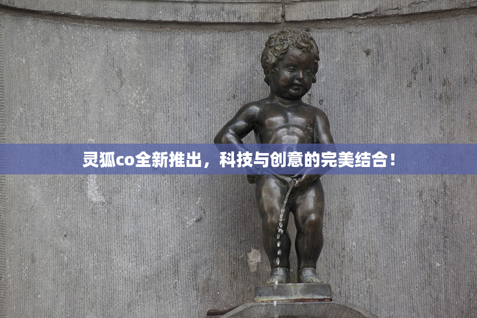 灵狐co全新推出，科技与创意的完美结合！