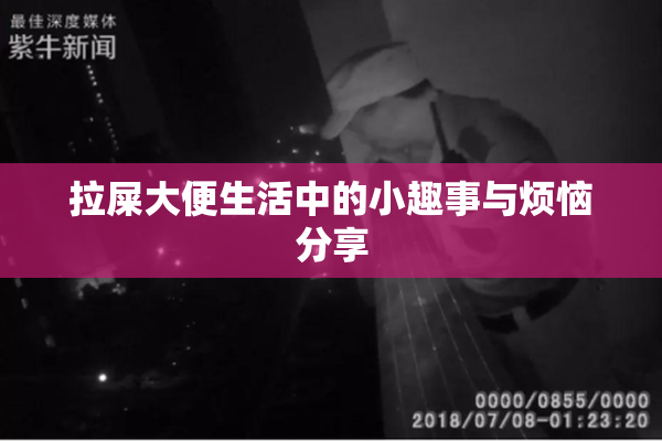 拉屎大便生活中的小趣事与烦恼分享