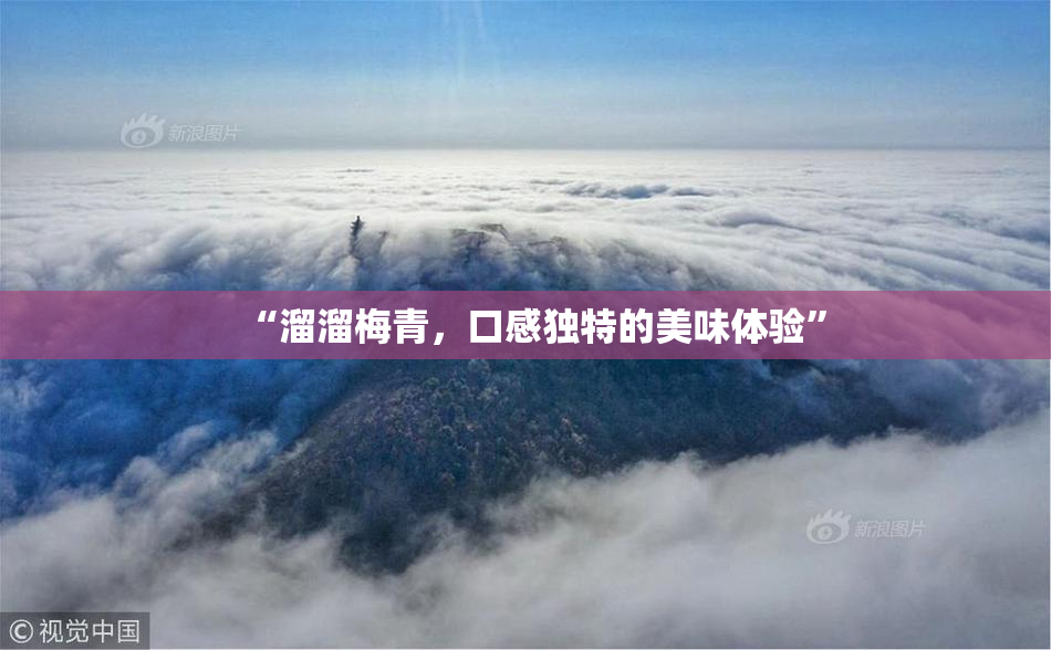 “溜溜梅青，口感独特的美味体验”