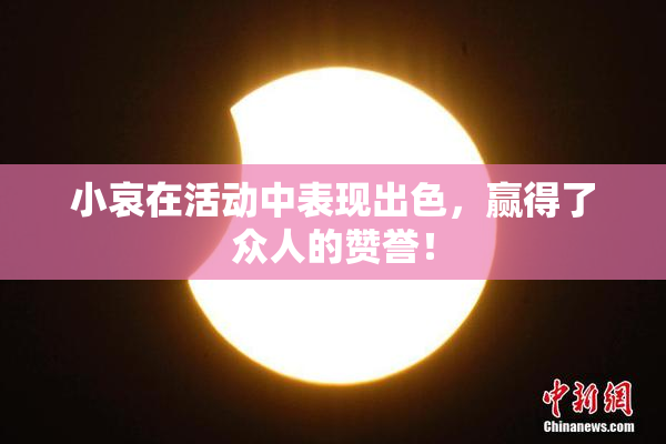 小哀在活动中表现出色，赢得了众人的赞誉！