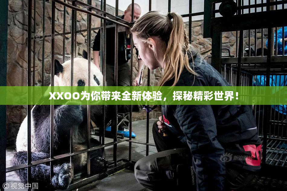 XXOO为你带来全新体验，探秘精彩世界！