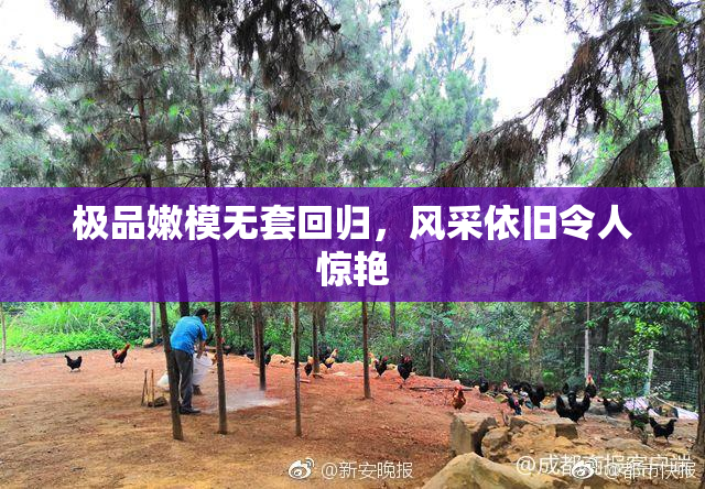 极品嫩模无套回归，风采依旧令人惊艳