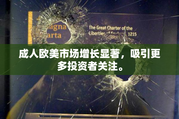 成人欧美市场增长显著，吸引更多投资者关注。