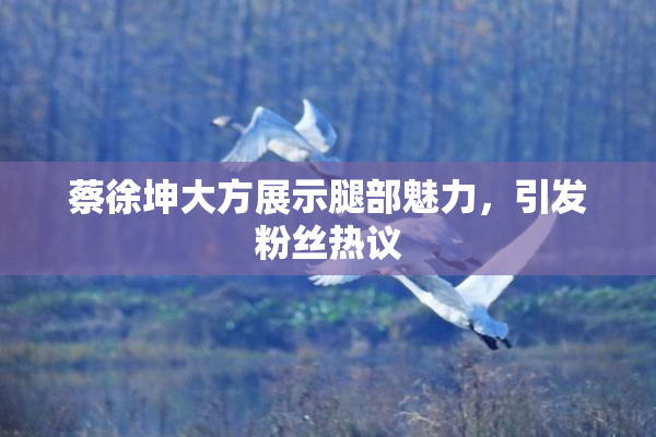 蔡徐坤大方展示腿部魅力，引发粉丝热议