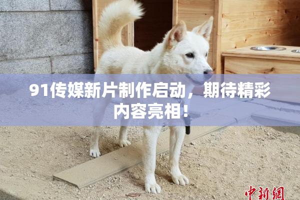 91传媒新片制作启动，期待精彩内容亮相！