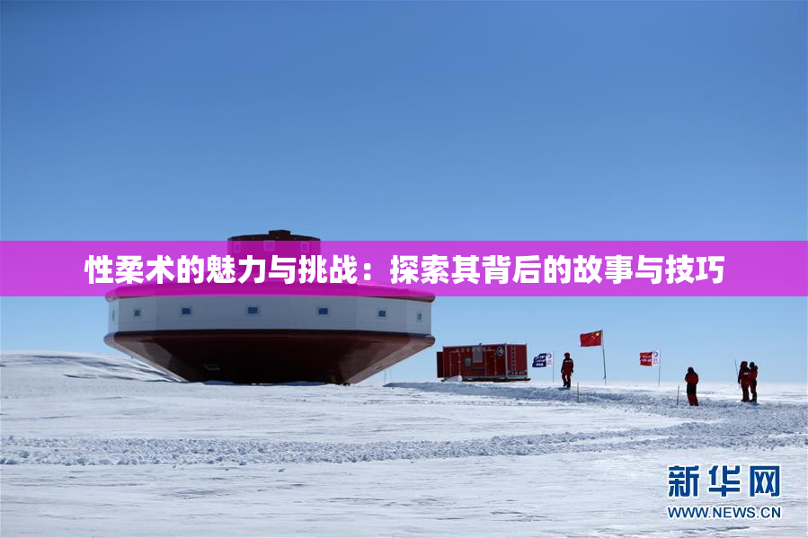 性柔术的魅力与挑战：探索其背后的故事与技巧