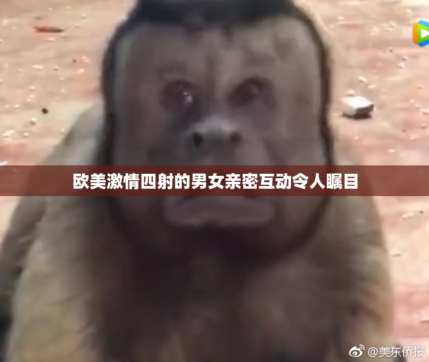 欧美激情四射的男女亲密互动令人瞩目