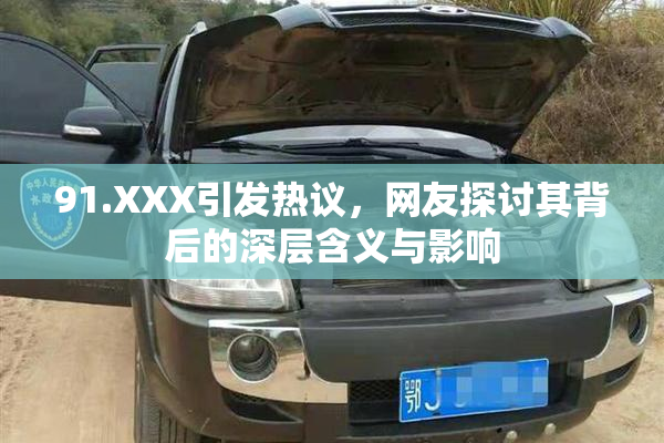91.XXX引发热议，网友探讨其背后的深层含义与影响