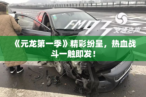 《元龙第一季》精彩纷呈，热血战斗一触即发！