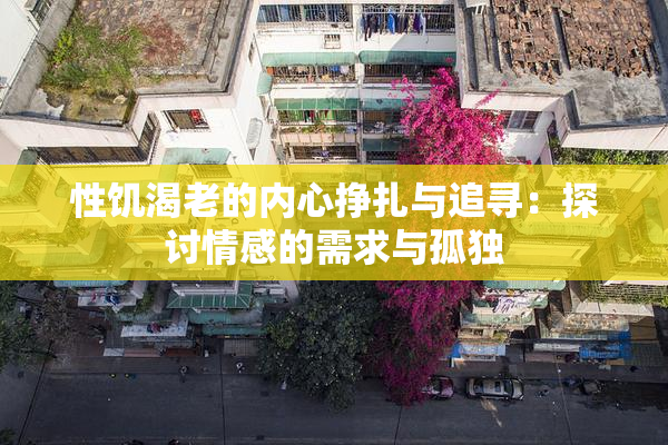 性饥渴老的内心挣扎与追寻：探讨情感的需求与孤独