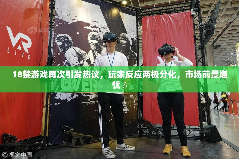 18禁游戏再次引发热议，玩家反应两极分化，市场前景堪忧♂