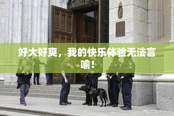好大好爽，我的快乐体验无法言喻！