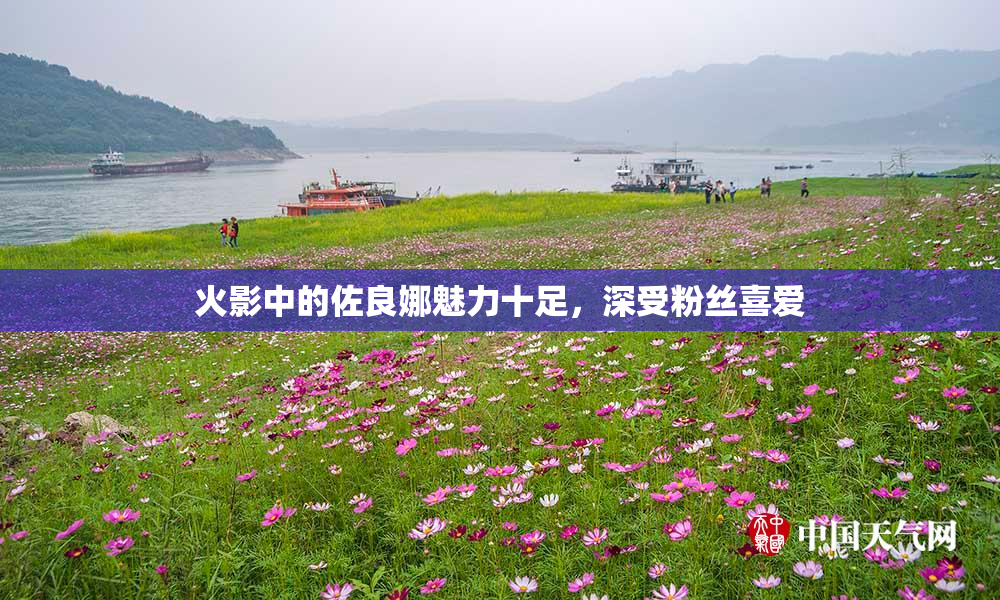 火影中的佐良娜魅力十足，深受粉丝喜爱