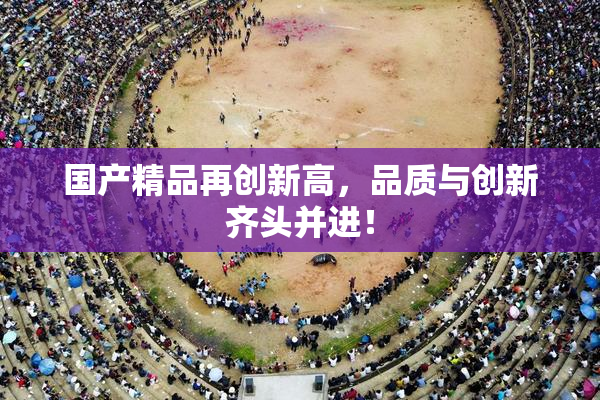 国产精品再创新高，品质与创新齐头并进！