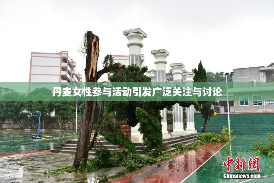 丹麦女性参与活动引发广泛关注与讨论