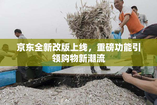 京东全新改版上线，重磅功能引领购物新潮流