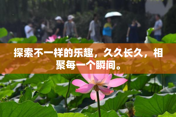 探索不一样的乐趣，久久长久，相聚每一个瞬间。