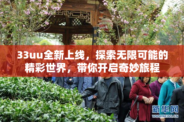 33uu全新上线，探索无限可能的精彩世界，带你开启奇妙旅程