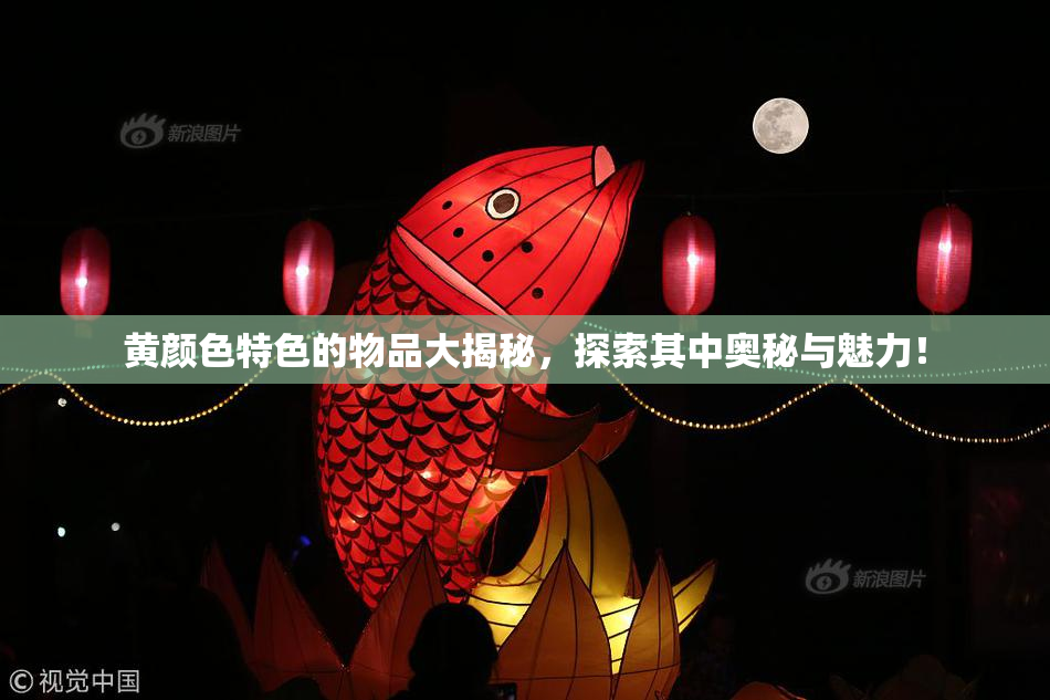 黄颜色特色的物品大揭秘，探索其中奥秘与魅力！