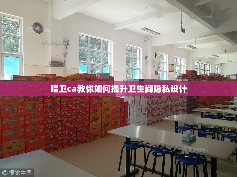 暗卫ca教你如何提升卫生间隐私设计