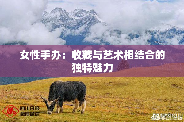 女性手办：收藏与艺术相结合的独特魅力
