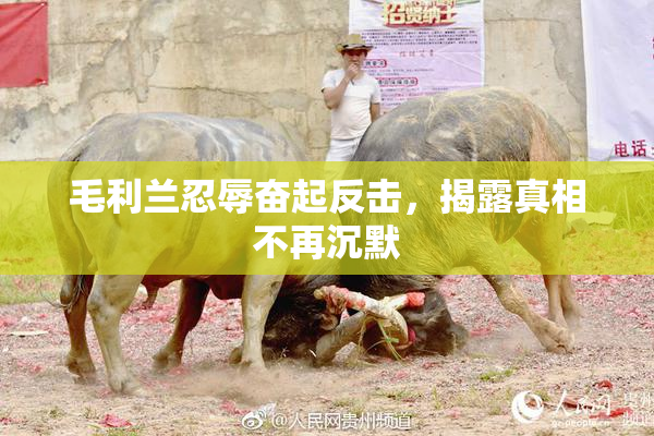 毛利兰忍辱奋起反击，揭露真相不再沉默