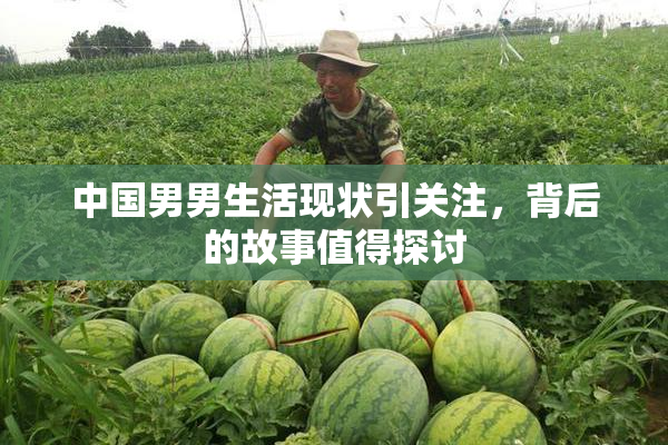 中国男男生活现状引关注，背后的故事值得探讨