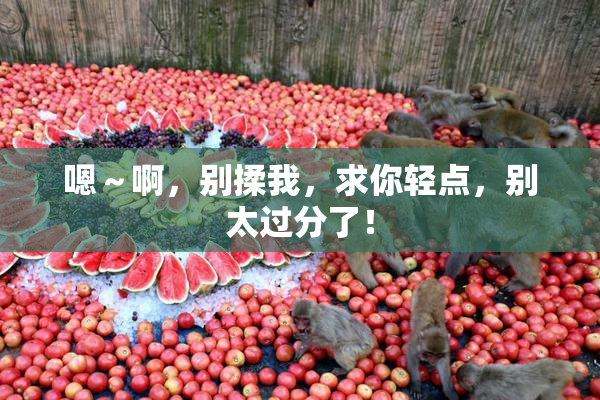 嗯～啊，别揉我，求你轻点，别太过分了！