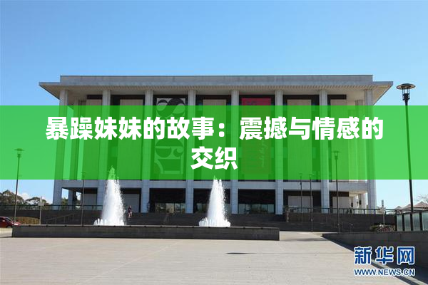 暴躁妹妹的故事：震撼与情感的交织