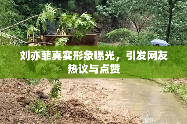 刘亦菲真实形象曝光，引发网友热议与点赞