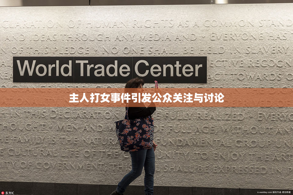 主人打女事件引发公众关注与讨论