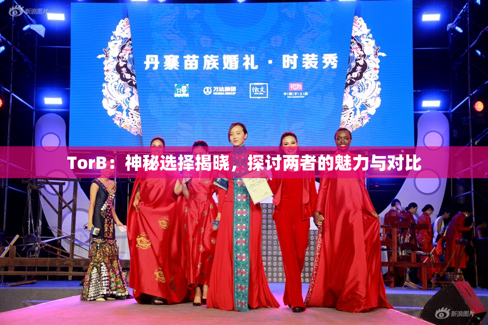 TorB：神秘选择揭晓，探讨两者的魅力与对比