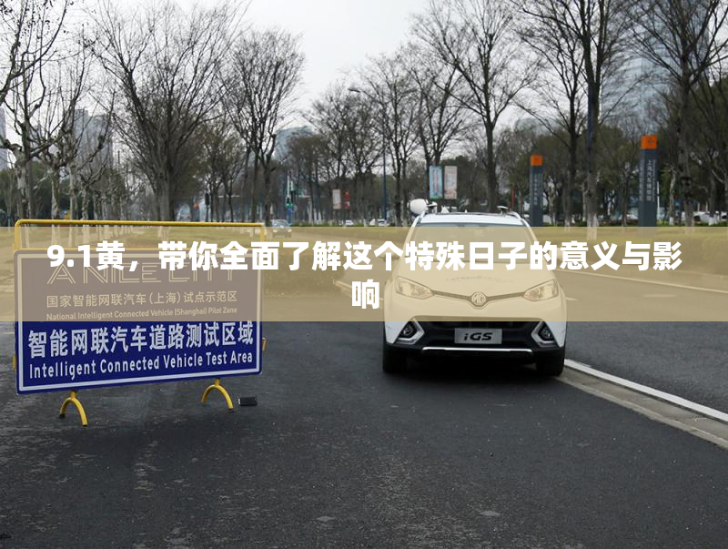 9.1黄，带你全面了解这个特殊日子的意义与影响
