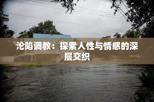 沦陷调教：探索人性与情感的深层交织