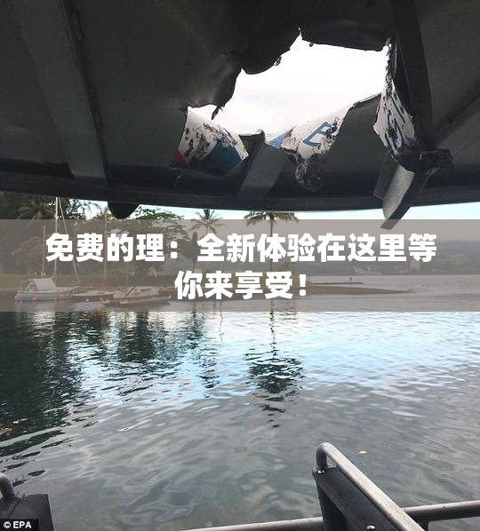 免费的理：全新体验在这里等你来享受！