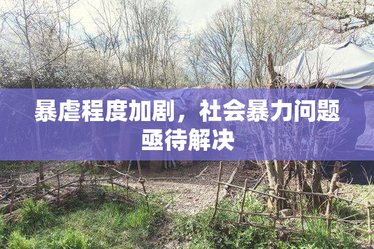 暴虐程度加剧，社会暴力问题亟待解决