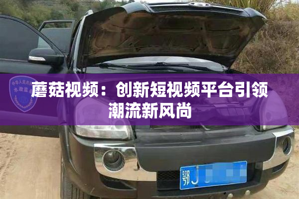 蘑菇视频：创新短视频平台引领潮流新风尚
